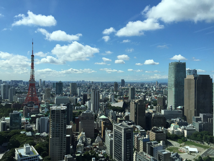 Giappone, una veduta di Tokyo