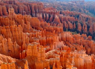 Bryce Canyon National Park, USA.