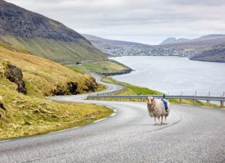 Faroe