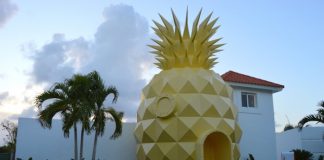 La Pineapple House