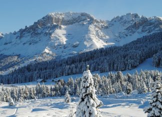 Trentino