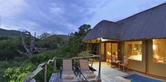 Shamwari Game Reserve