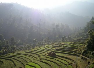 Nepal