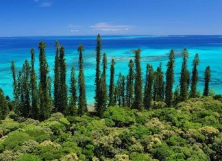 Isola dei Pini, Nuova Caledonia